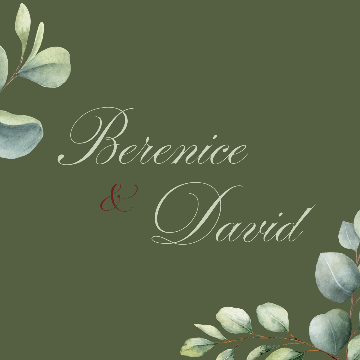 Berenice y David